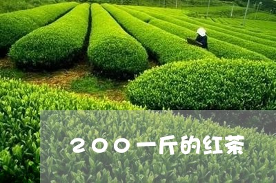 200一斤的红茶/2023032352696