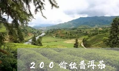 200价位普洱茶/2023041142505