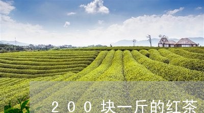 200块一斤的红茶/2023031938714