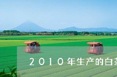 2010年生产的白茶茶饼/2023033194938