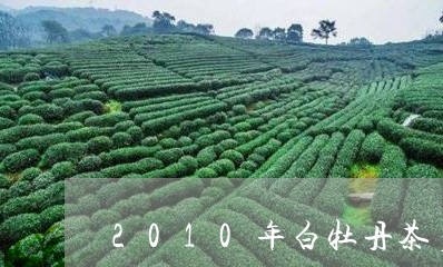 2010年白牡丹茶多少钱/2023033179572