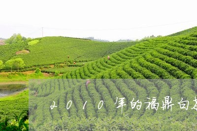 2010年的福鼎白茶茶砖/2023033154935