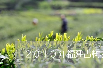 2010年福建古树老白茶/2023033120262