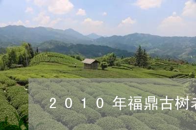 2010年福鼎古树老白茶/2023033199414