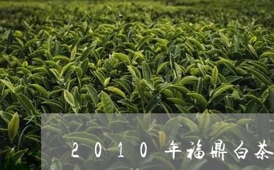 2010年福鼎白茶老白茶/2023033143935