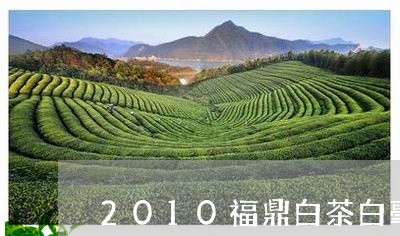 2010福鼎白茶白毫银针/2023033192805