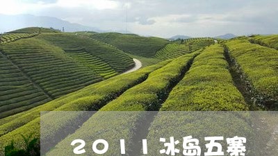 2011冰岛五寨/2023032343827