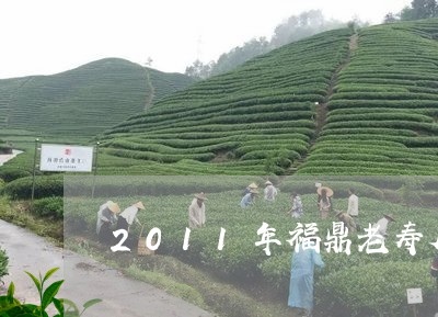 2011年福鼎老寿眉茶饼/2023033184261