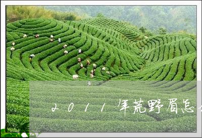 2011年荒野眉怎么样/2023033134926