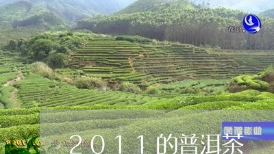 2011的普洱茶/2023041338380