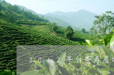 2012年白茶寿眉饼价格/2023033176071