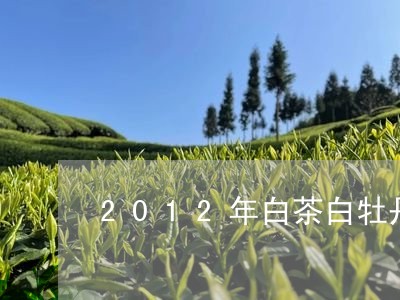 2012年白茶白牡丹价格/2023033148481