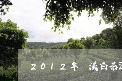 2012年磻溪白茶醉白玉/2023033147272