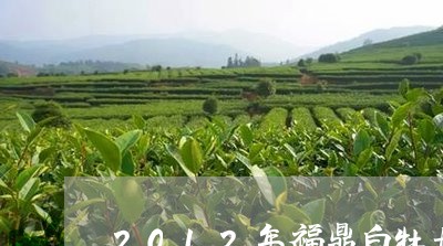 2012年福鼎白牡丹茶饼/2023033173846