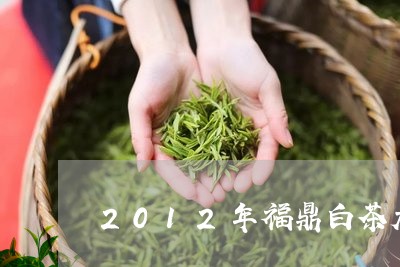 2012年福鼎白茶大白毫/2023033107582