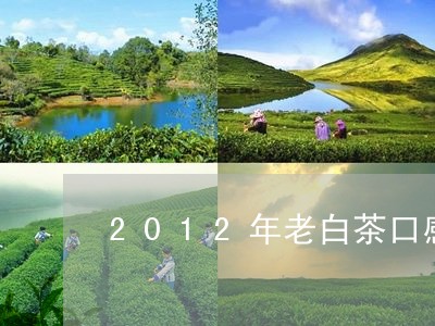 2012年老白茶口感描述/2023033167150