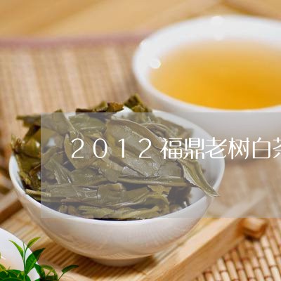 2012福鼎老树白茶价格/2023033132627