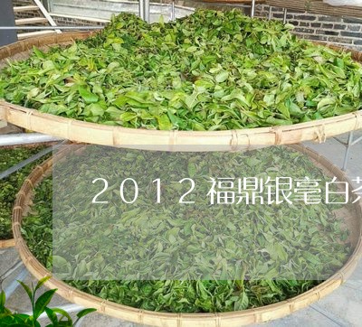 2012福鼎银毫白茶价格/2023033184604