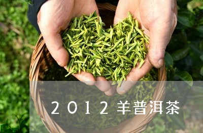 2012羊普洱茶/2023041026280