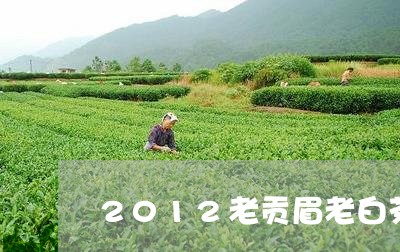 2012老贡眉老白茶图片/2023033172617