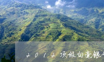 2012顶级白毫银针口感/2023033163836