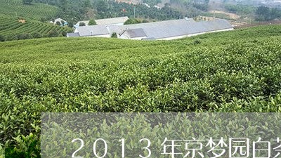 2013年京梦园白茶价格/2023033186350