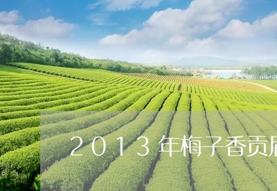 2013年梅子香贡眉散茶/2023033187481