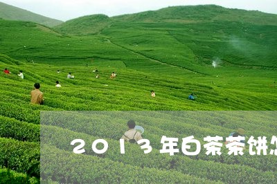 2013年白茶茶饼怎么泡/2023033165947