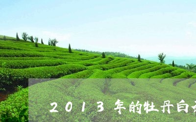 2013年的牡丹白茶福鼎/2023033188362