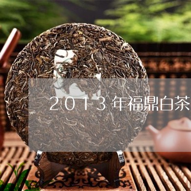 2013年福鼎白茶中国节/2023033151612