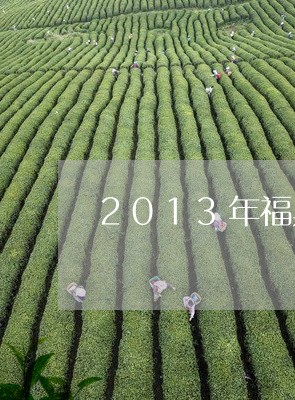 2013年福鼎白茶饼贡眉/2023033130712