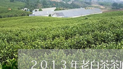 2013年老白茶茶底破碎/2023033139392