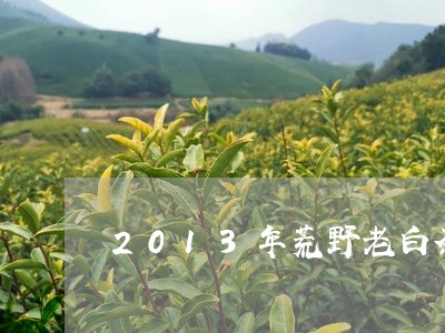 2013年荒野老白茶介绍/2023033158403