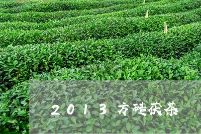 2013方砖茯茶/2023032410473