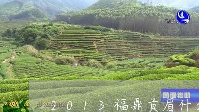 2013福鼎贡眉什么价格/2023033146270