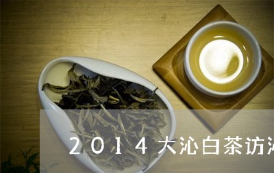 2014大沁白茶访沁寿眉/2023033157381