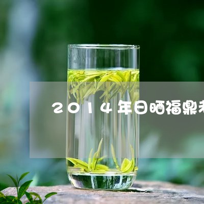 2014年日晒福鼎老白茶/2023033102829