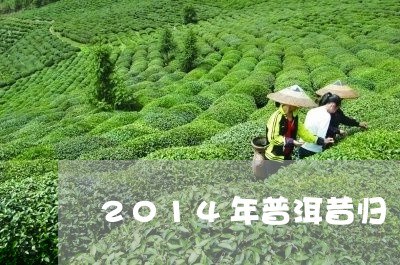 2014年普洱昔归/2023041461603