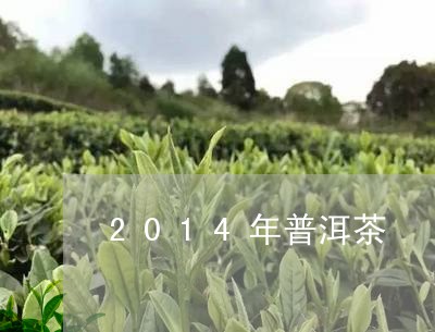 2014年普洱茶/2023041355038