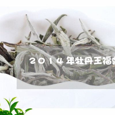 2014年牡丹王福鼎白茶/2023033124826