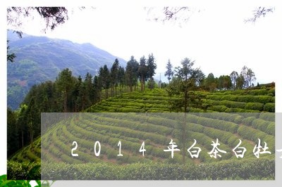 2014年白茶白牡丹美文/2023033145039