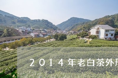 2014年老白茶外形变化/2023033185946