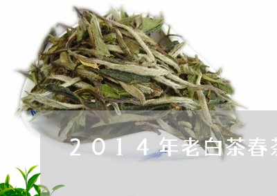 2014年老白茶春茶特点/2023033186267