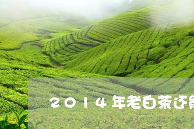 2014年老白茶还能喝吗/2023033105140