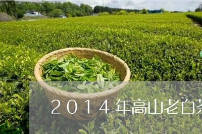 2014年高山老白茶价格/2023033194038