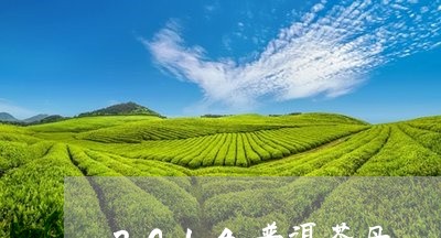 2014普洱茶丹/2023041183048