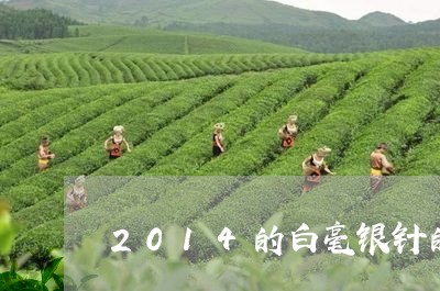 2014的白毫银针的价格/2023033109615