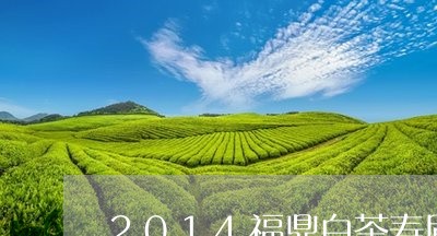 2014福鼎白茶寿眉品鉴/2023033181627