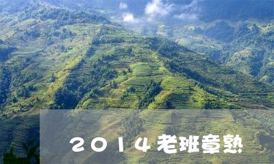 2014老班章熟/2023032843028