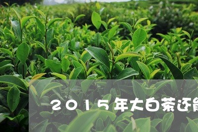 2015年大白茶还能喝吗/2023033041703